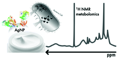 Graphical abstract: NMR insights on nano silver post-surgical treatment of superficial caseous lymphadenitis in small ruminants