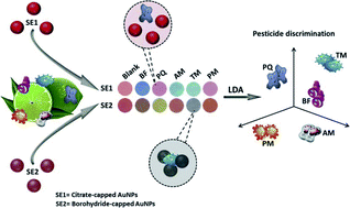 Graphical abstract: Nanoplasmonic sensor array for the detection and discrimination of pesticide residues in citrus fruits