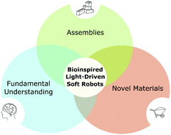 Graphical abstract: Bioinspired light-driven soft robots based on liquid crystal polymers