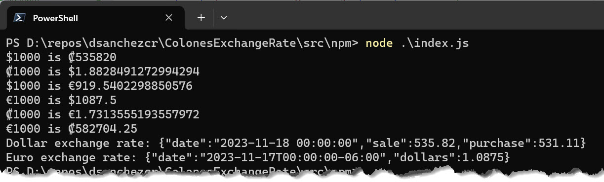 npm console result