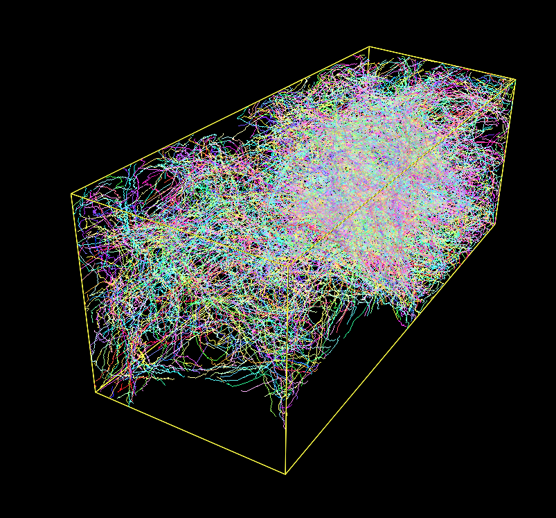 A Densely Labeled Volume Skeletonized with Kimimaro