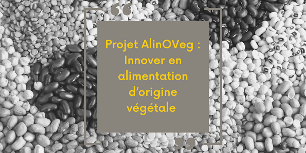 AlinOVeg