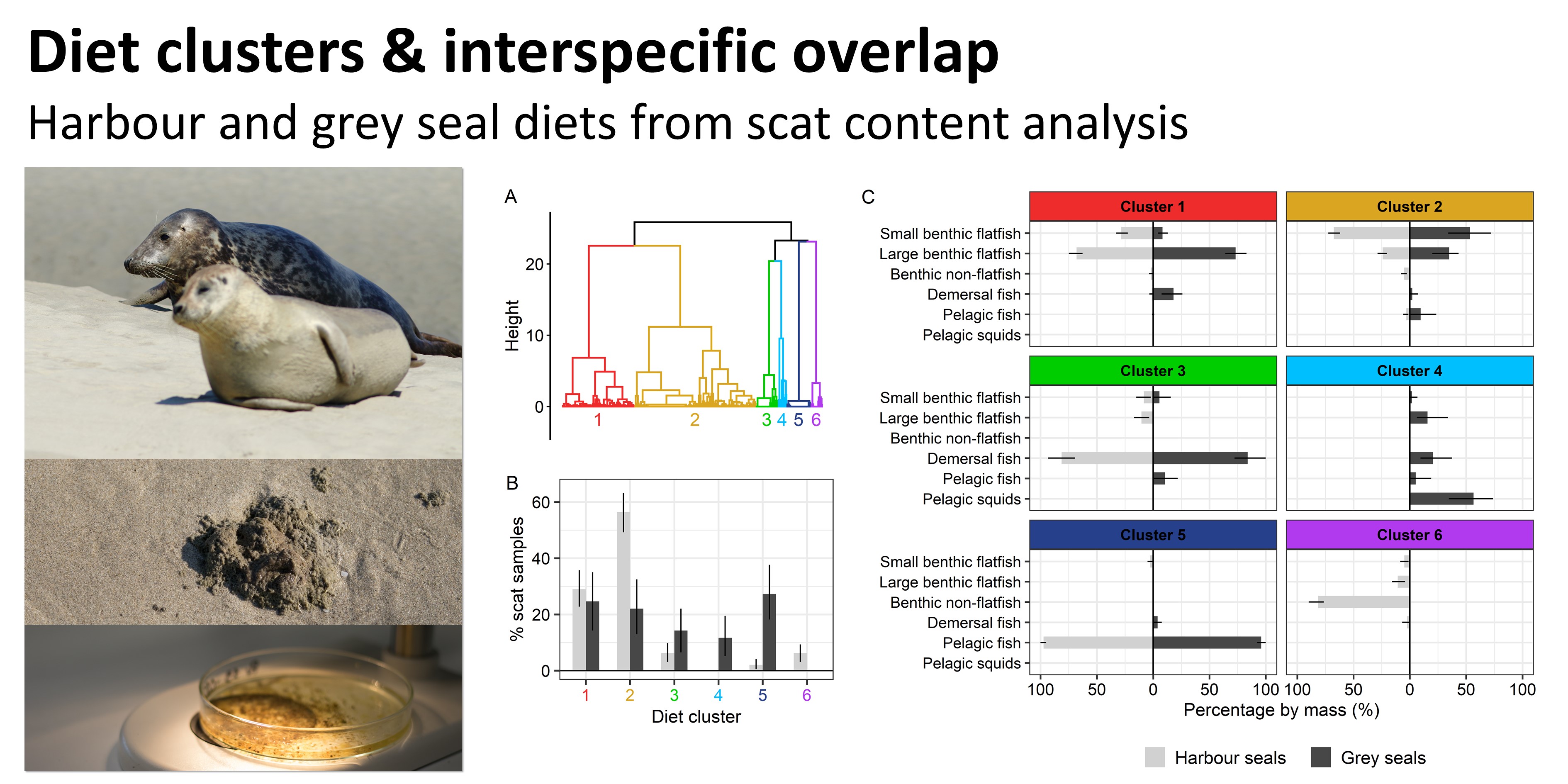 Diet_Cluster_and_Overlap