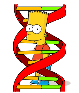 bart