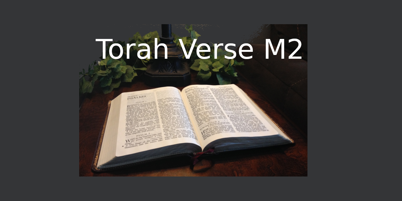 TorahVerse-M2