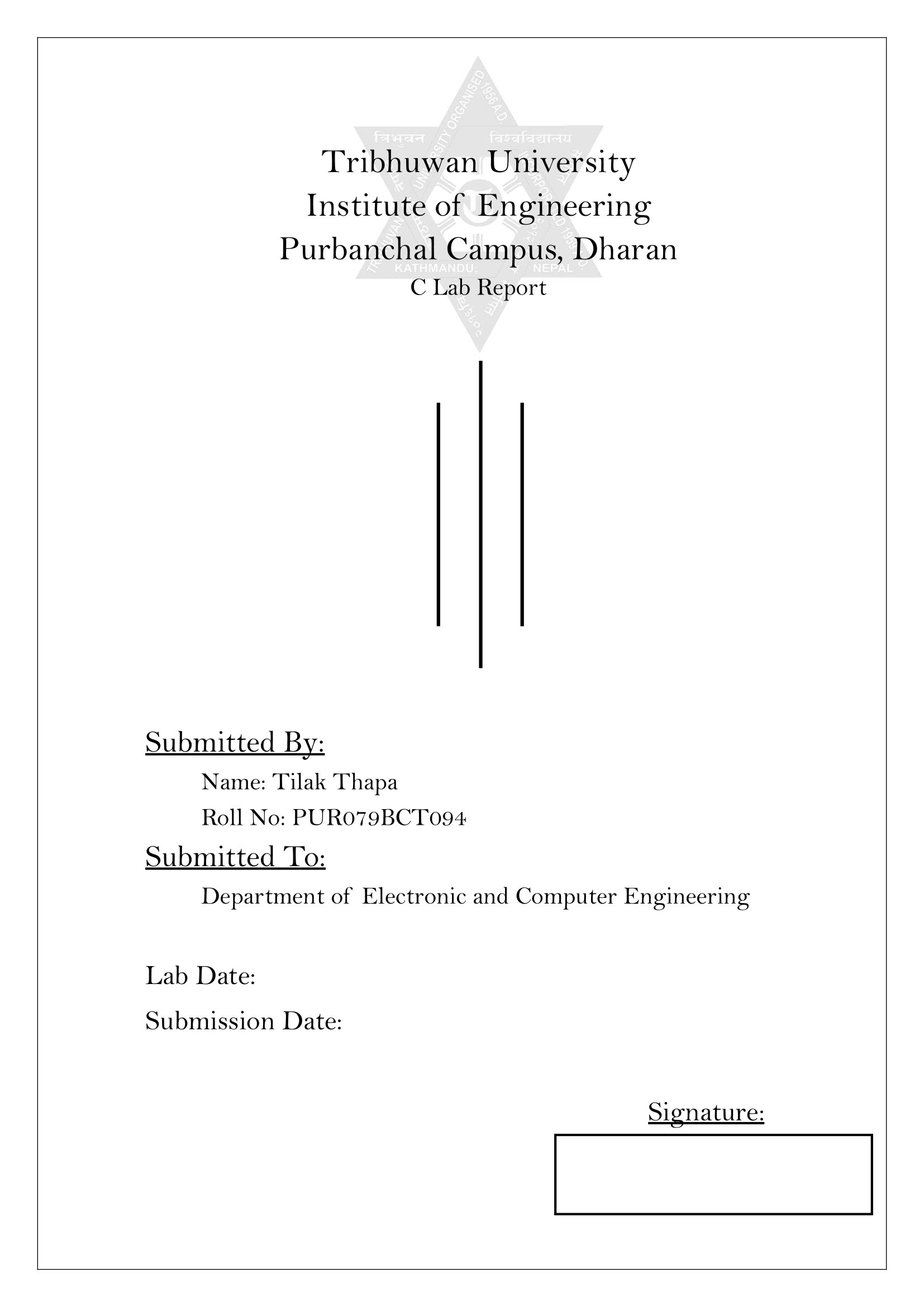 C-Lab-Report