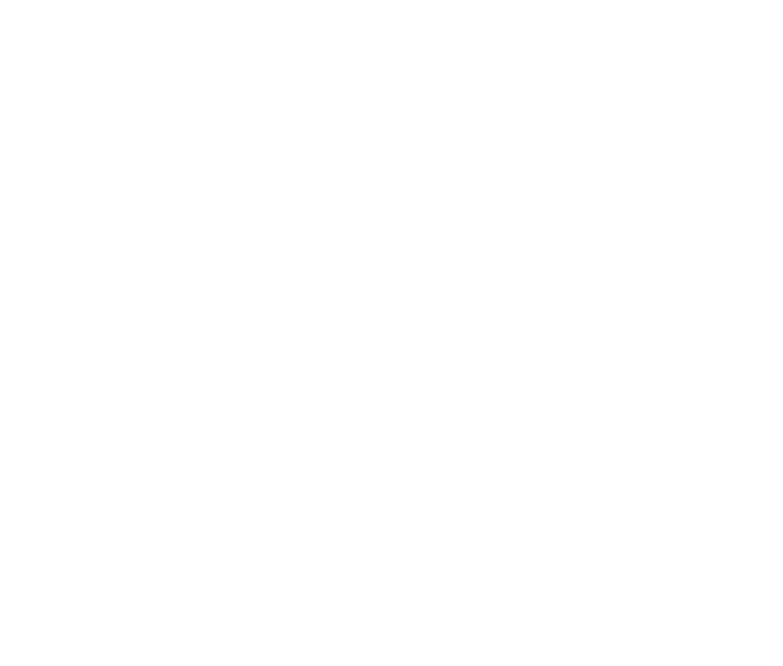 Portland Trail Blazers