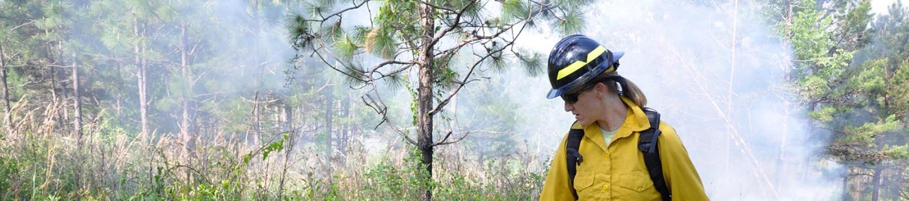 Forest service administering prescribed fire