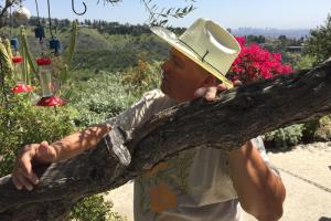 man looking at a tree branch in california