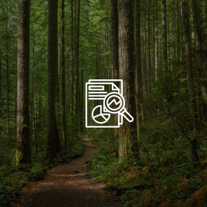 photo of a deciduous forest with an icon of a magnifying glass looking at data.
