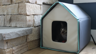 The Frisco Heated Cat House with a cute cat sitting inside.