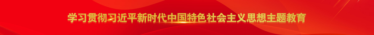 学习贯彻习近平新时代中国特色社会主义思想主题教育