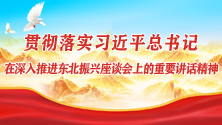 贯彻落实习近平总书记在深入推进东北振兴座谈会上的重要讲话精神