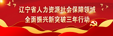 辽宁省人力资源社会保障领域全面振兴新突破三年行动