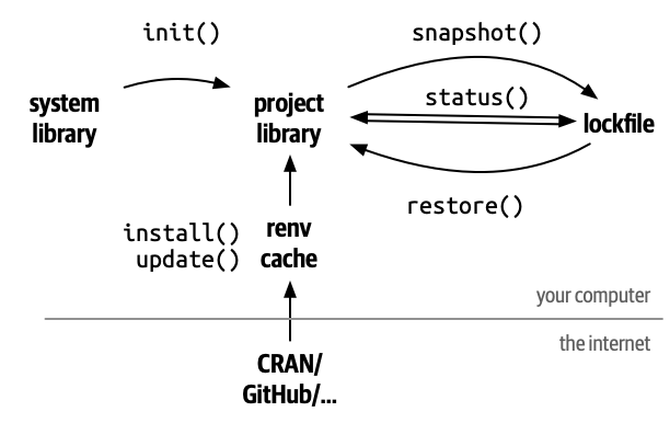 A diagram showing the most important verbs and nouns of renv. Projects start with init(), which creates a project library using packages from the system library. snapshot() updates the lockfile using the packages installed in the project library, where restore() installs packages into the project library using the metadata from the lockfile, and status() compares the lockfile to the project library. You install and update packages from CRAN and GitHub using install() and update(), but because you'll need to do this for multiple projects, renv uses cache to make this fast.
