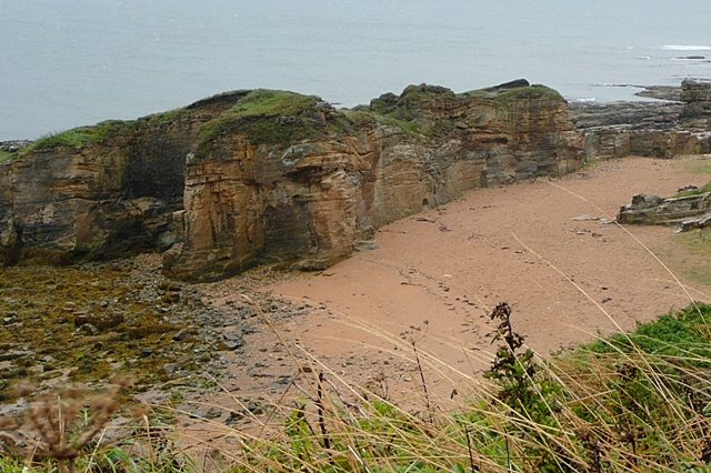 Coast near Howick