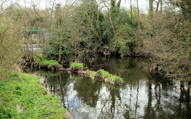 The River Lagan at Lambeg