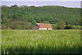 SE9689 : Barn in a field of Barley by N Chadwick