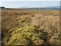 NS4783 : Old field boundary by Lairich Rig