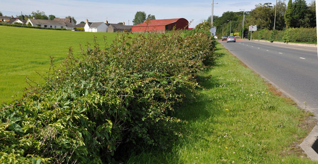 The Lisburn Road, Moira