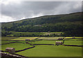 SD9598 : Fields and their barns at Gunnerside by Karl and Ali