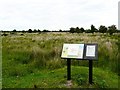 NY5166 : Information board at the edge of Walton Moss by Rose and Trev Clough