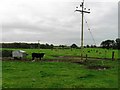 SJ9385 : Fields south of Norbury Brook by Alex McGregor