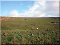 SD6379 : Casterton Stone Circle by Karl and Ali