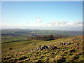 SD6479 : The pasture above Casterton Stone Circle by Karl and Ali