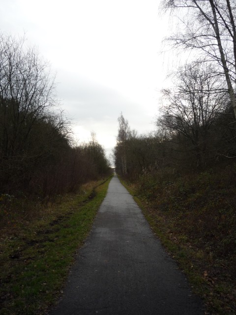 York to Selby cycle path near Stillingfleet