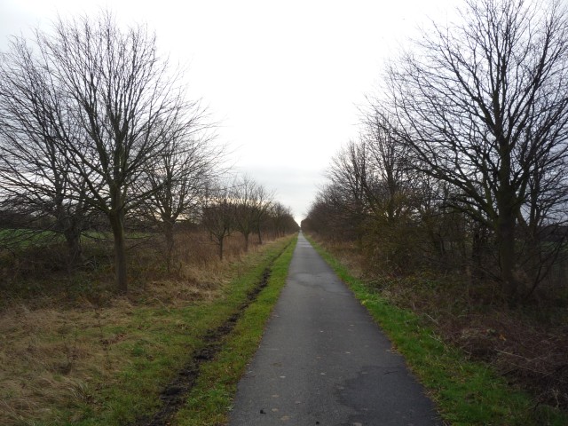 York to Selby cycle path near Mount Farm