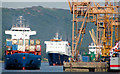 J1318 : The "Emma" at Warrenpoint by Albert Bridge