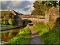 SJ9273 : Macclesfield Canal, Bridge#39 (Holland's Bridge) by David Dixon