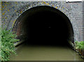 SP6692 : Tunnel portal near Saddington, Leicestershire by Roger  D Kidd