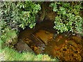 NS4277 : Old weir on the Overtoun Burn by Lairich Rig