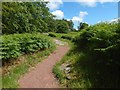 NS5173 : Path to Craigton by Lairich Rig