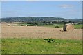  : Straw bales in a stubble field by Philip Halling