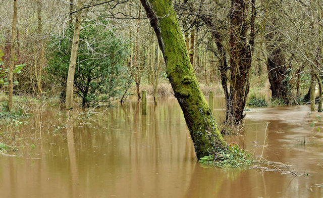 The flooded Lagan towpath, Minnowburn, Belfast - December 2015(1)