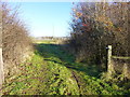 SD4213 : Marker post for the reed bed perimeter path at Martin Mere by Raymond Knapman