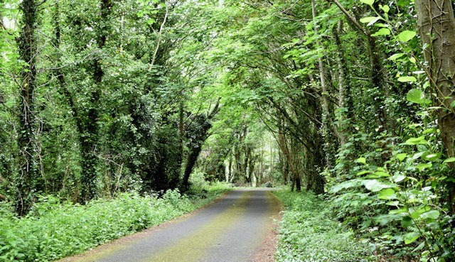 Park road, Helen's Bay (May 2017)