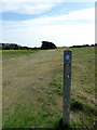 TV5997 : Marker Post for South Downs Way by PAUL FARMER