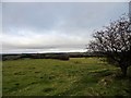 NZ1053 : View to the west by Robert Graham