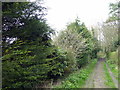 TQ7512 : Path at RSPB Fore Wood by PAUL FARMER