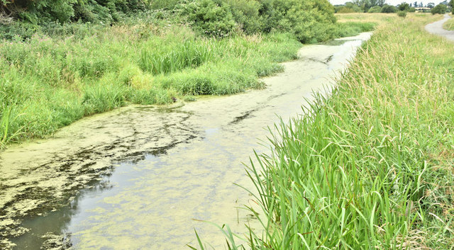 The Lagan canal, Moira (July 2018)