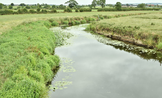 The River Lagan, Spencer's Bridge, near Moira - July 2018(1)