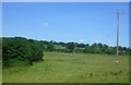 SP0271 : Grazing and power lines near Alvechurch Station by JThomas