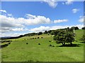 NZ1056 : View up the valley by Robert Graham