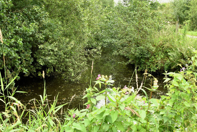 Lock no 2, disused Lagan canal, Belfast (July 2019)