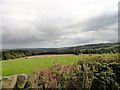 NZ0854 : View over the valley by Robert Graham