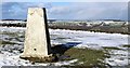 SK2597 : Trig Point near Stocksbridge by Dave Pickersgill